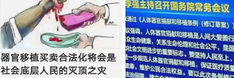 韭矿大荻's banner