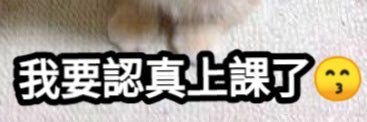 花花🌹's banner