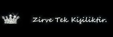 TERBİYESİZ's banner