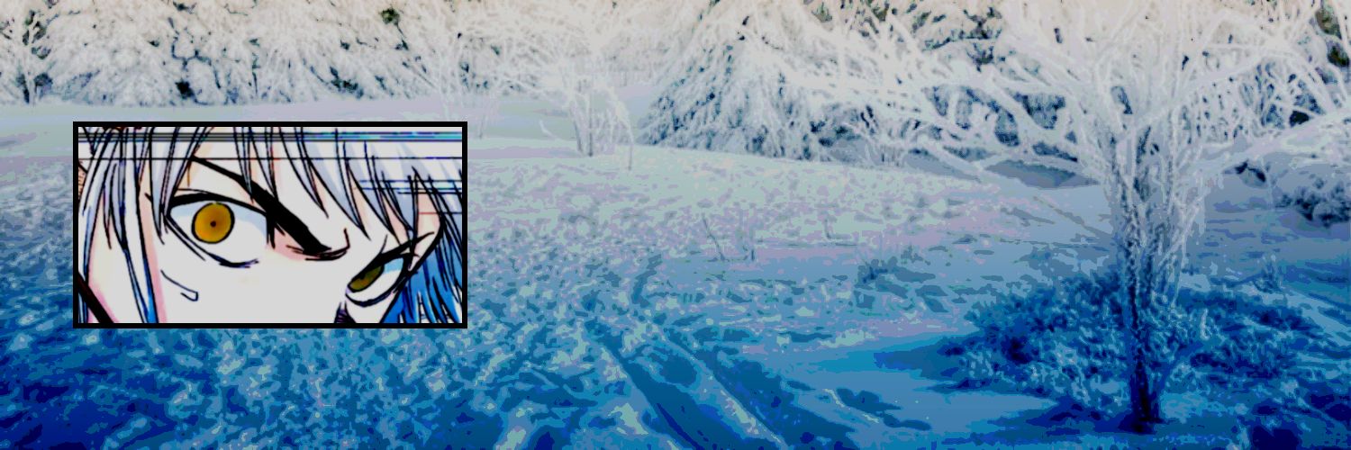 𝐒𝐍𝐎𝐖 𝐌𝐀𝐈𝐃𝐄𝐍 ⁎*ೃ⁀ ;'s banner