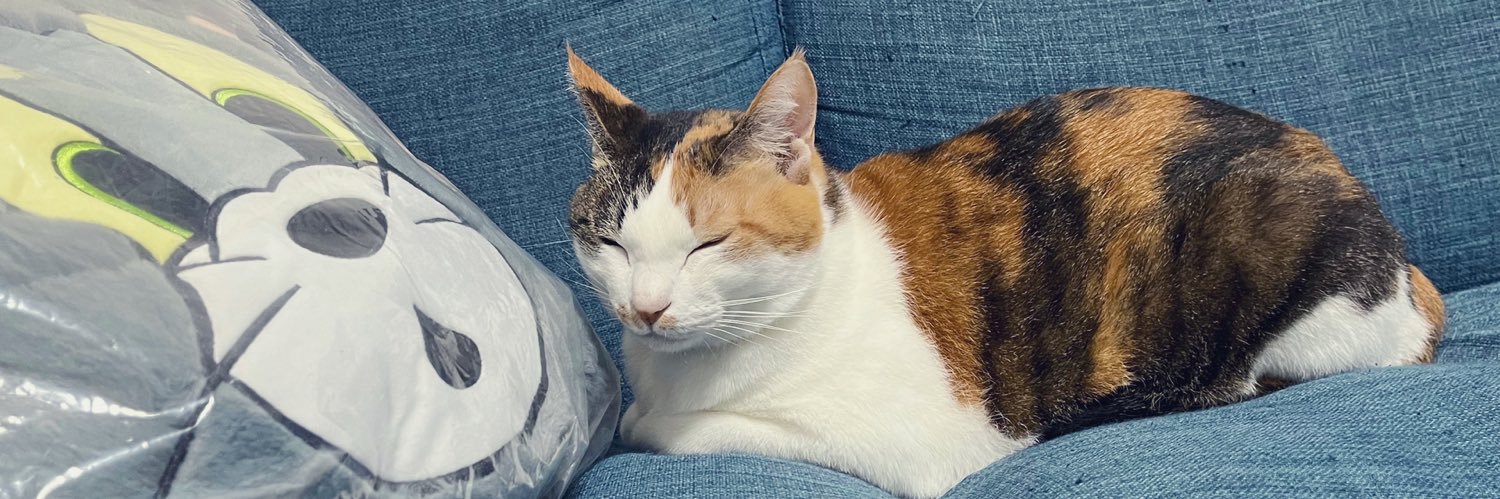 まよい🐱🫧🧁's banner