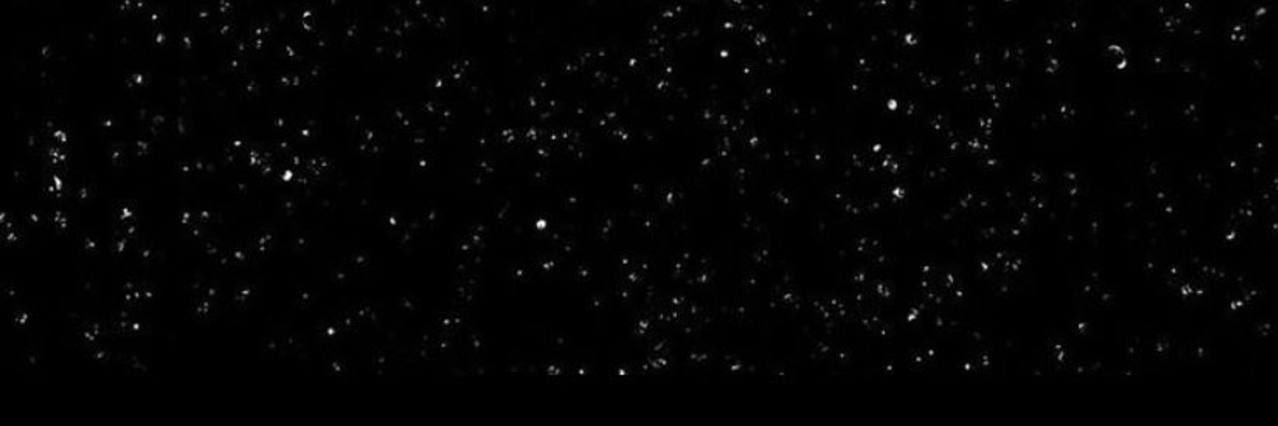 FʅAʋIα ☕️'s banner