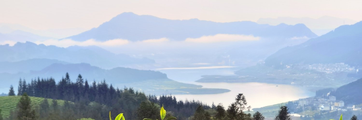 艾伊人🇨🇳's banner