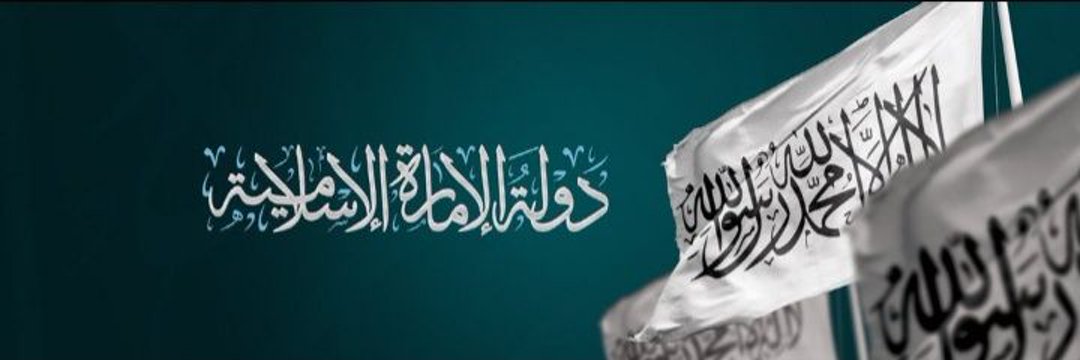 M Nabi ( مـحمــد الأفغاني)'s banner