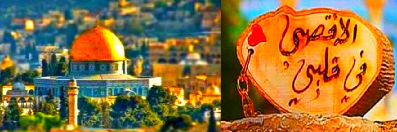 فهیم بادغیسی الافغانی's banner