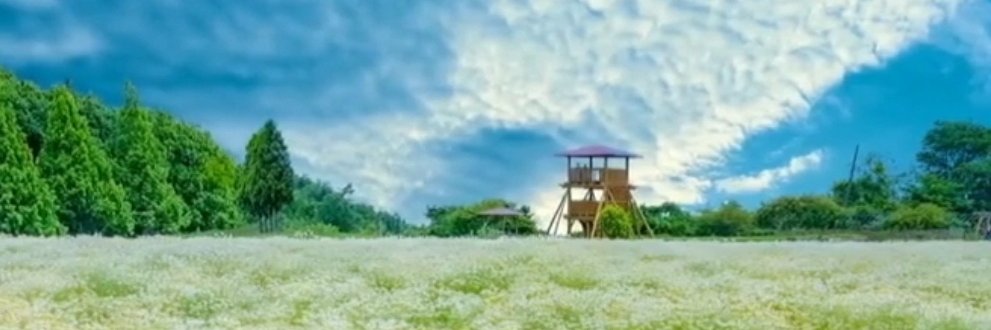 乐者🇨🇳（互粉互关互fo）'s banner