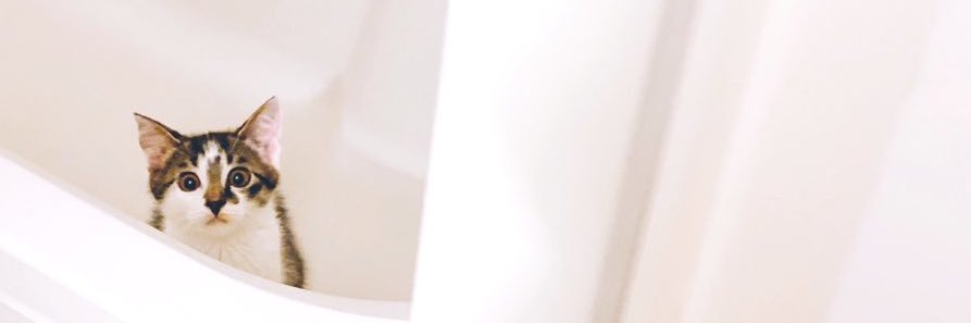 山中夏歩's banner