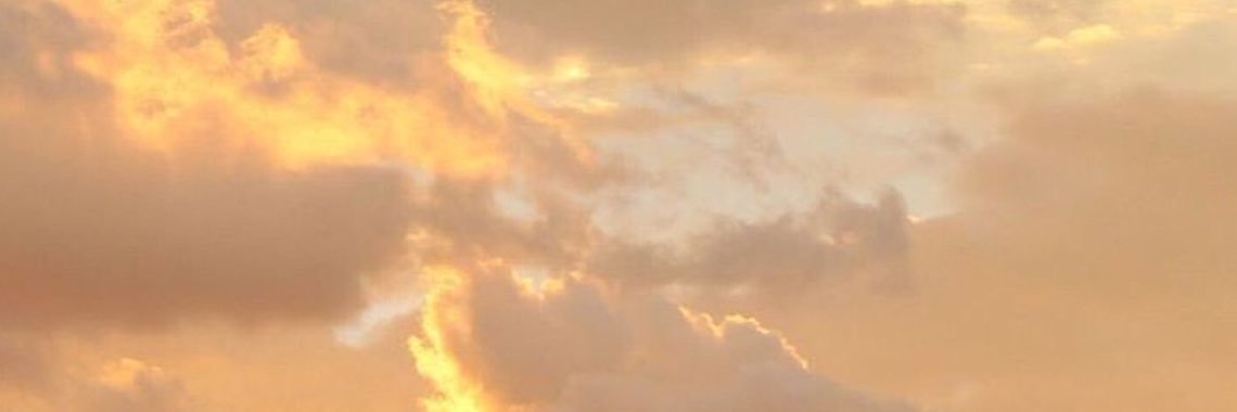 Lexi.'s banner