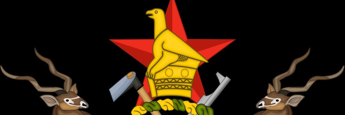 Citizen Dhehwa🇿🇼's banner