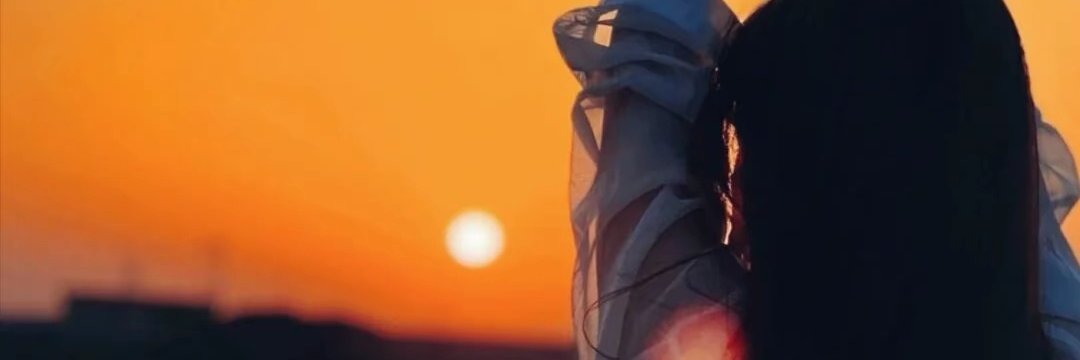 席飞's banner