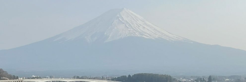 🩵 WANNAPORN 🩵's banner