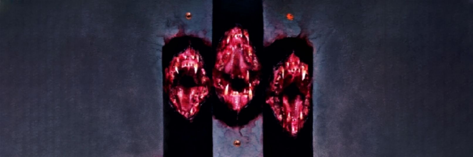 ɴʙɢ☆ғ's banner