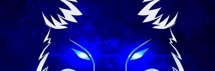 Tonico Lima's banner