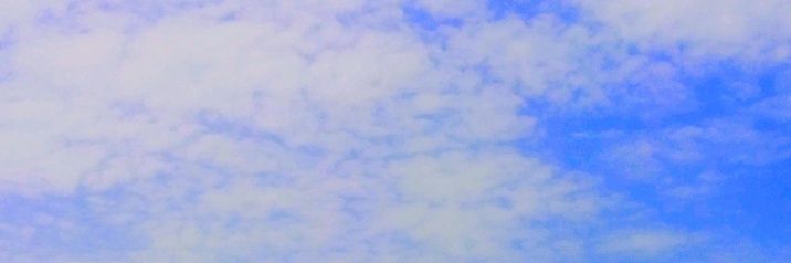 Elena bogdan's banner