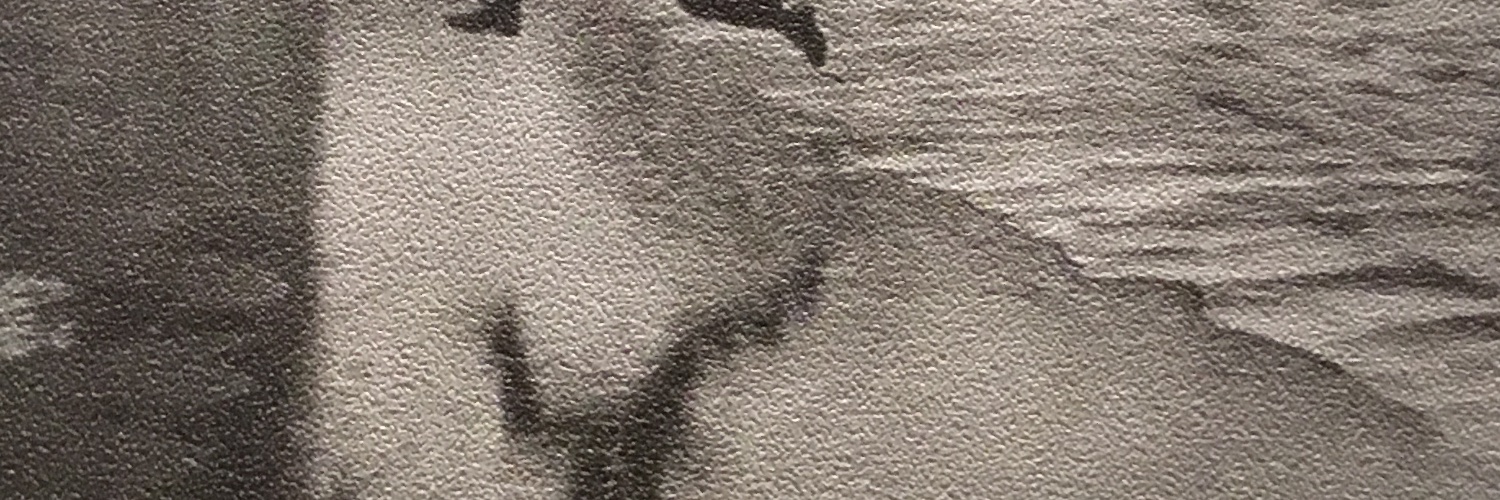 King_Mystic's banner