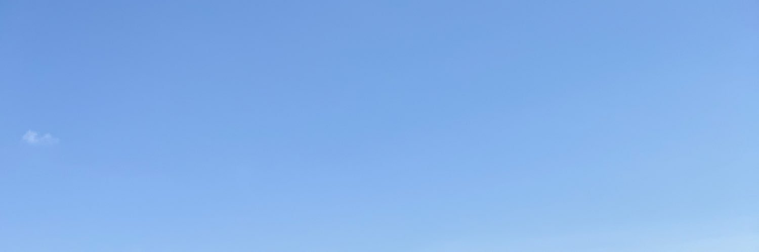 新規森's banner