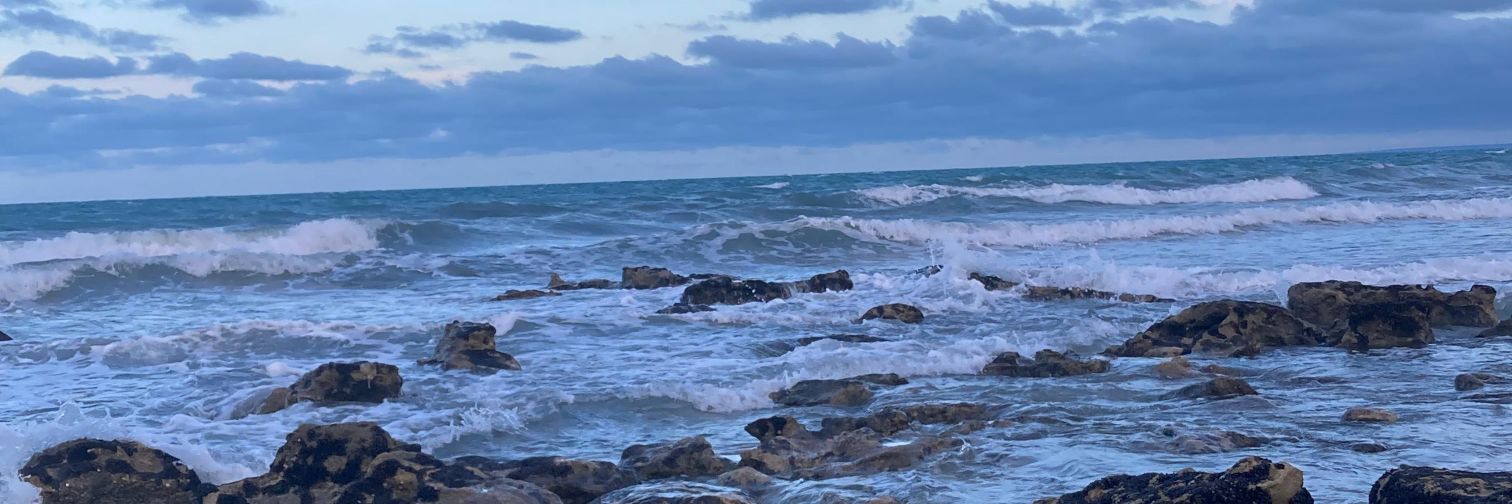 Ryanmndz's banner