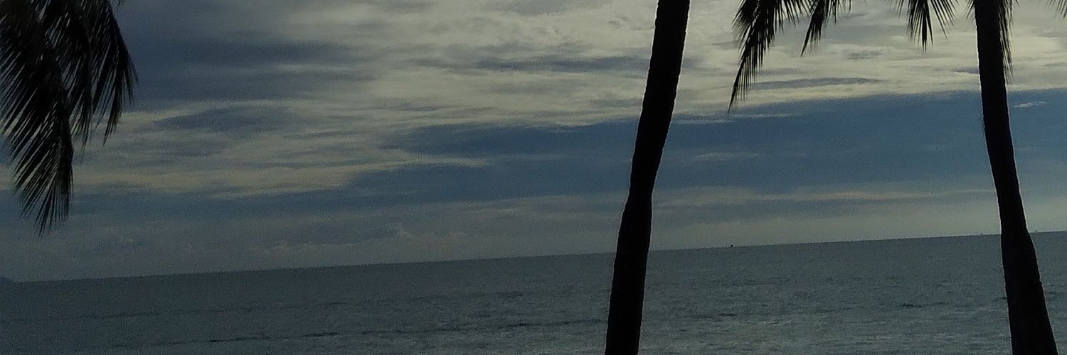 feyaa_r's banner
