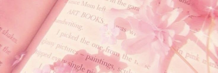 Star¡'s banner