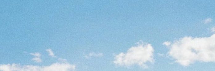 momo's banner