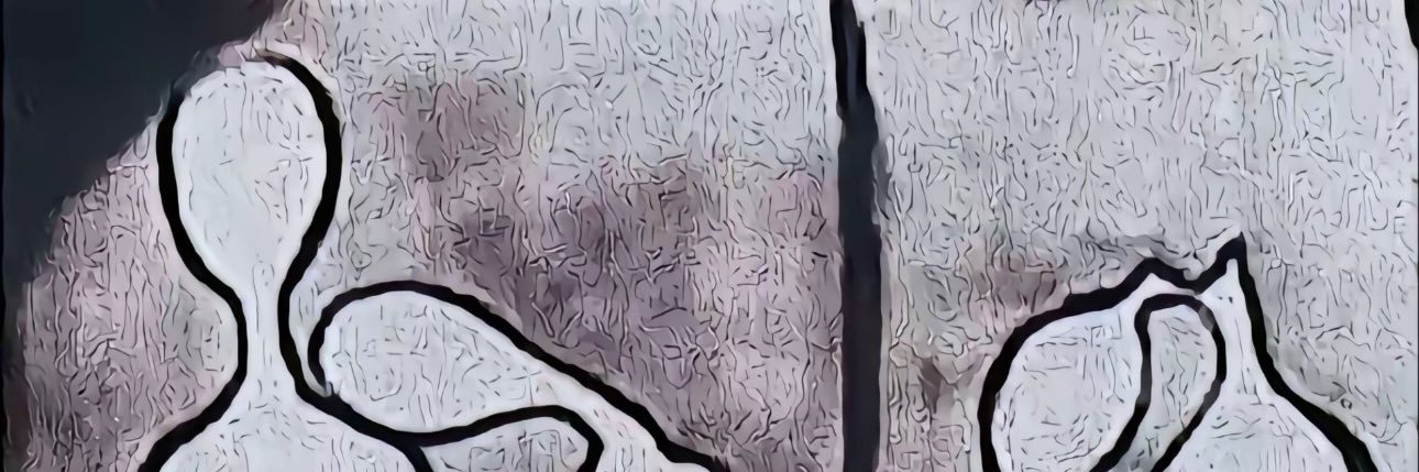 Karma's banner