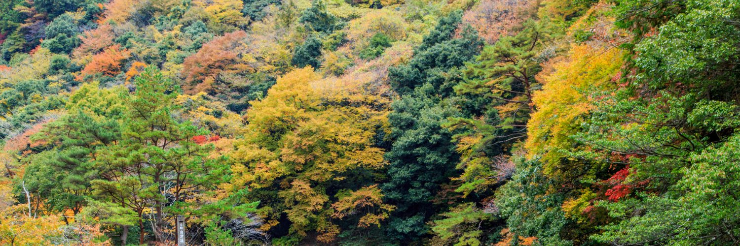 「森の芸術祭　晴れの国・岡山」's banner
