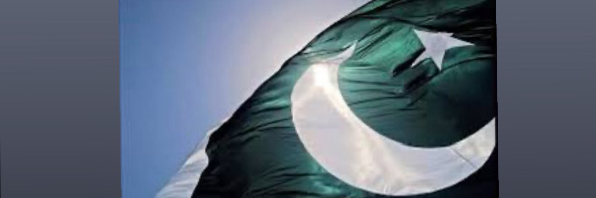Mona Farrukh's banner