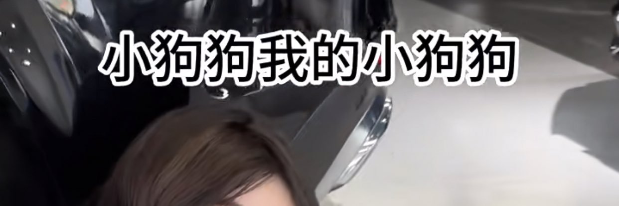 母狗养成记's banner