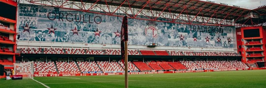 Fan Toluca's banner
