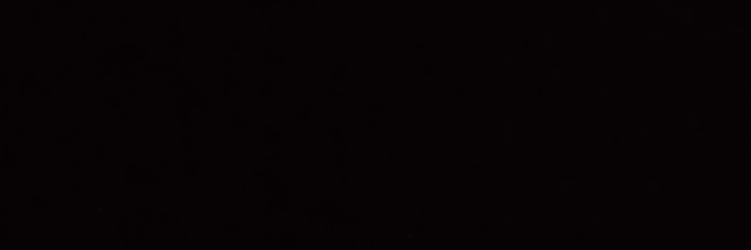 Noah's banner