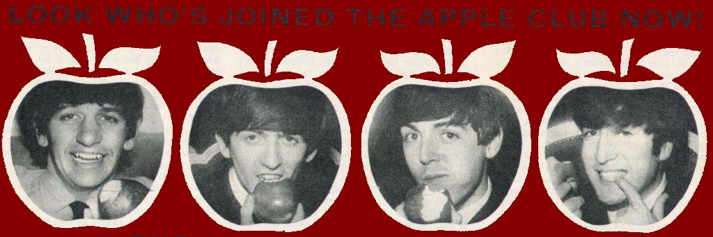 apollo / cookie ! :3 🍏 🪗🎸 SAW TMBG's banner
