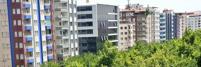 Asmin's banner