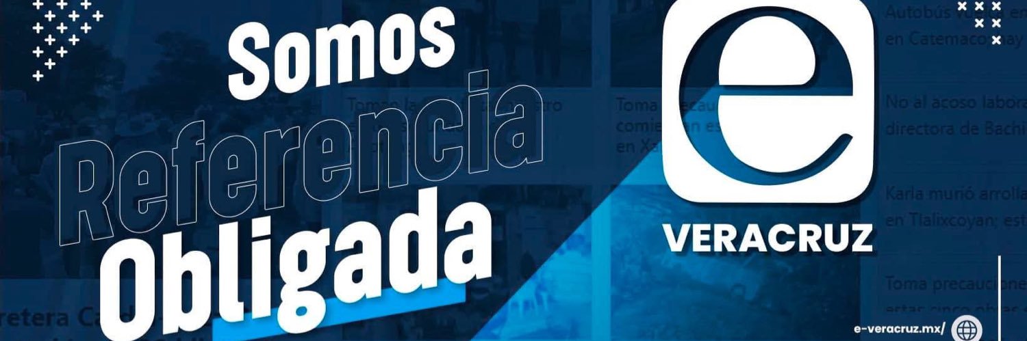 e-veracruz.mx's banner
