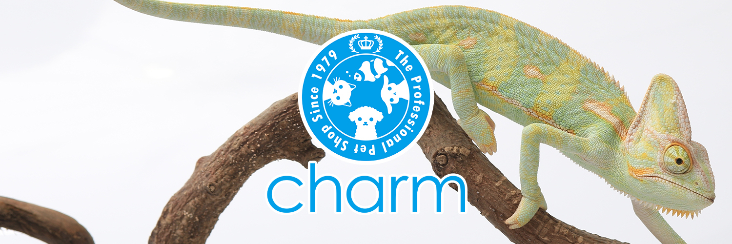 【両生類🐸爬虫類】チャーム公式's banner