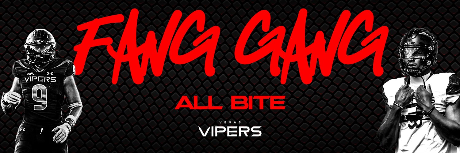 Vegas Vipers's banner