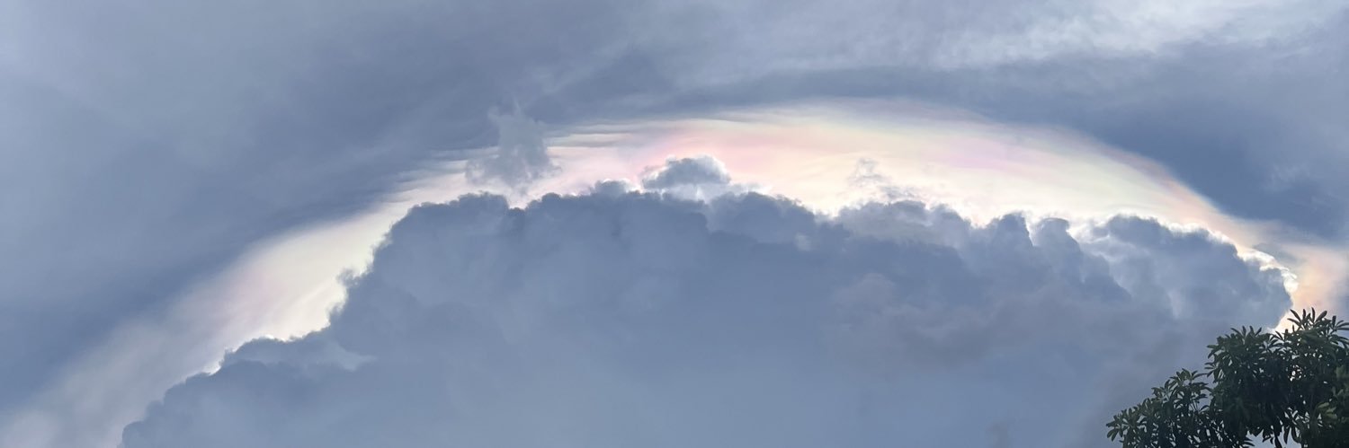 ジェーン's banner