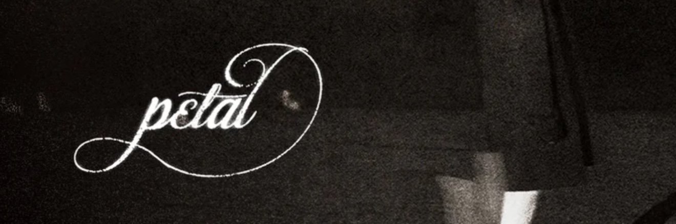 wan ꕤ's banner