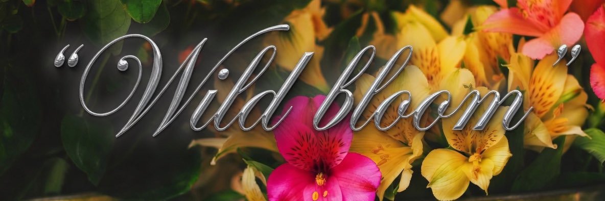 DS | Wild Bloom 🌿's banner