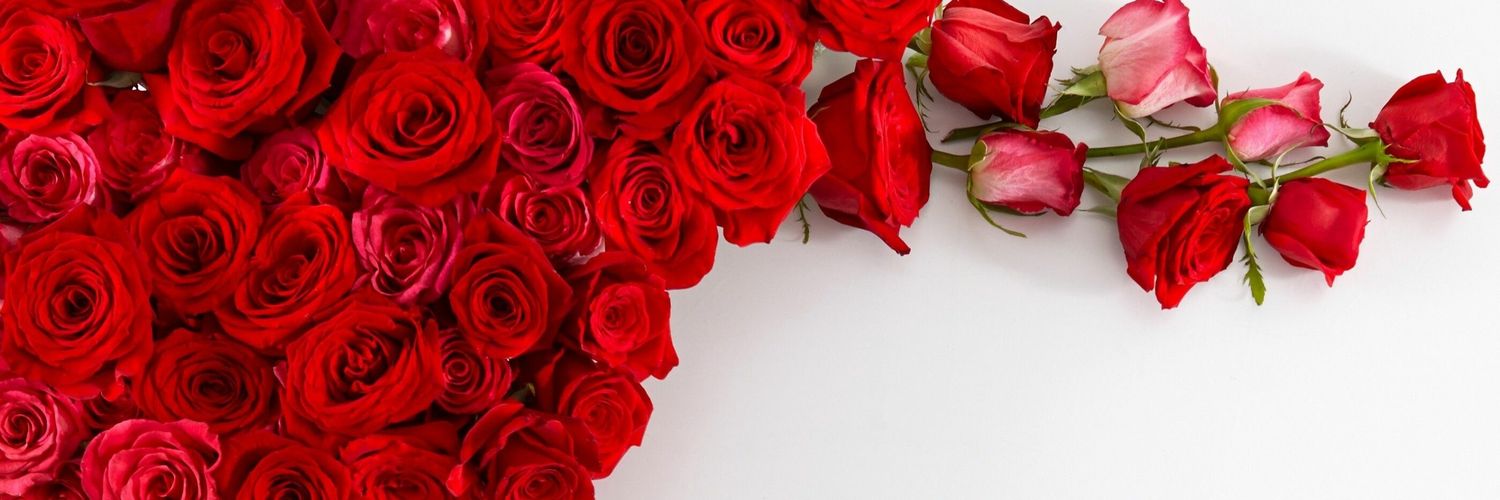 منوعات يومية's banner