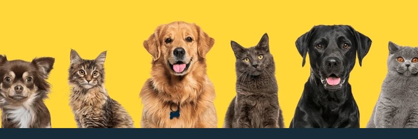 We Love Pets's banner