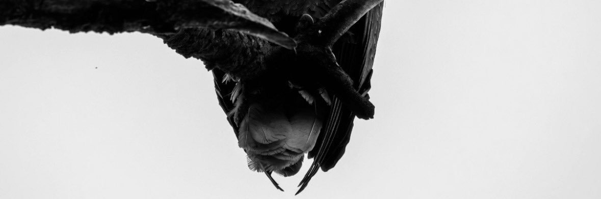QuestionIt's banner