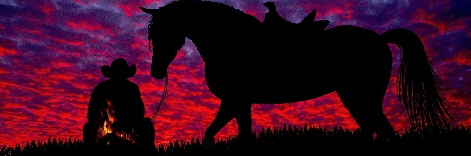 Redpill Drifter's banner
