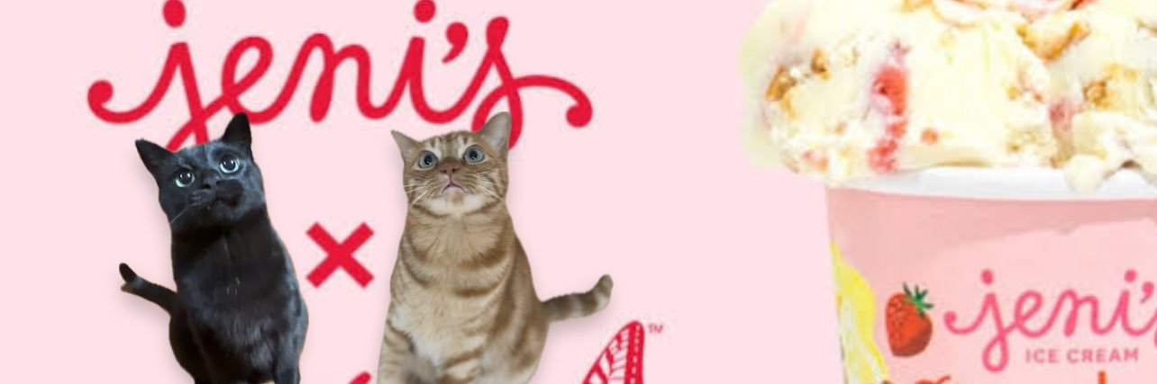 DOSANKO-CATS🐾's banner