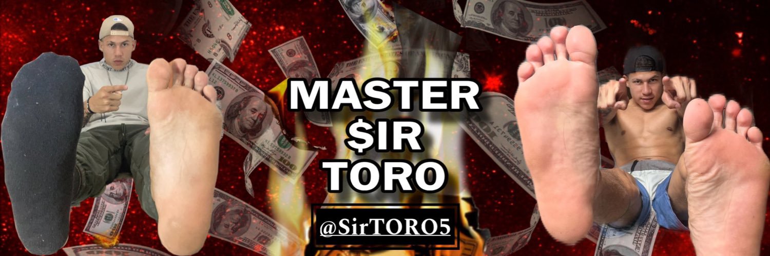 $ir toro's banner