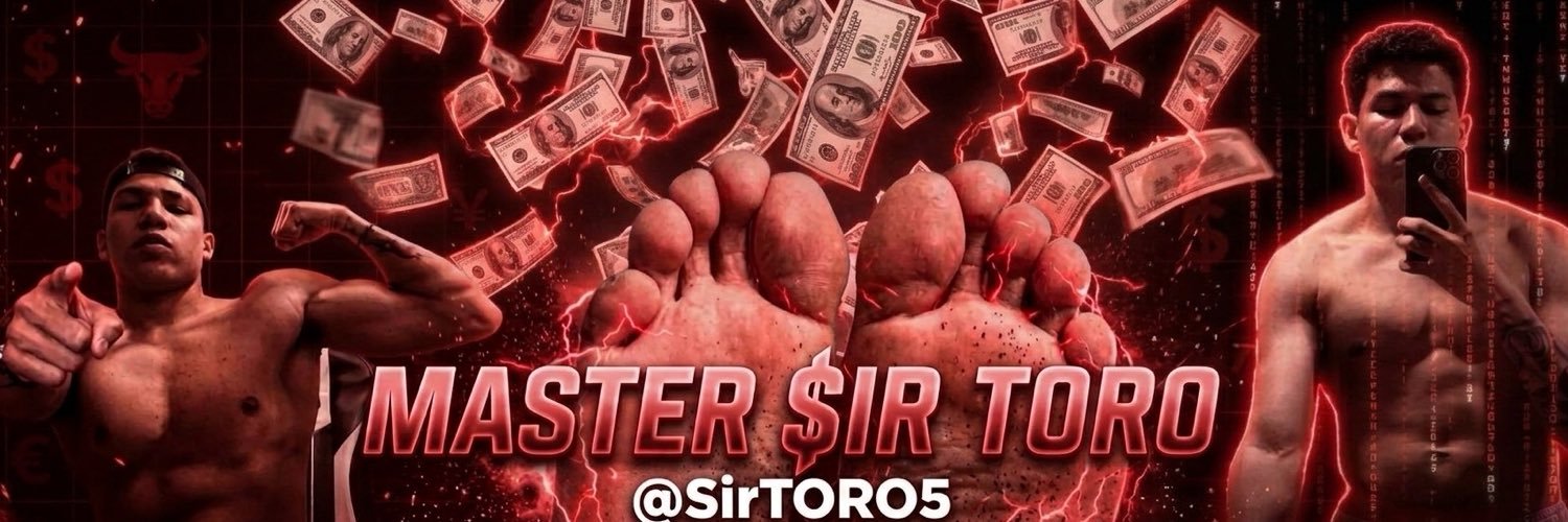 $ir toro's banner
