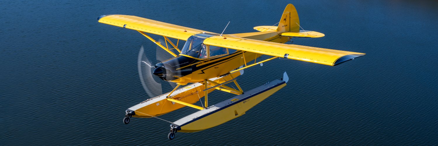 EAA's banner