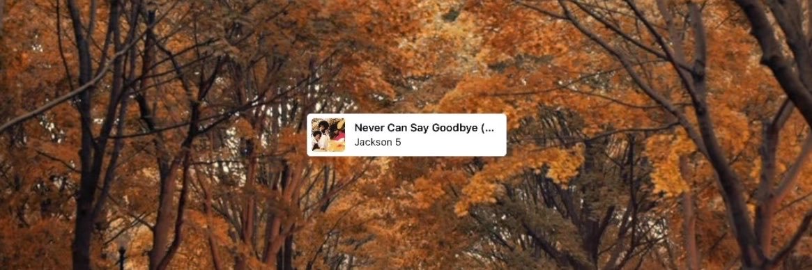 apple ☘︎ ݁˖'s banner
