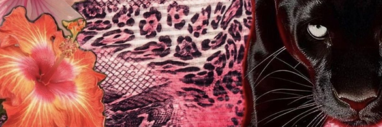 sav's banner