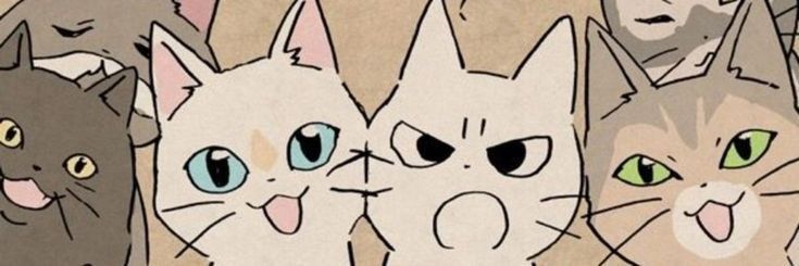 MAmaii 🌺🪴🌊🌴's banner