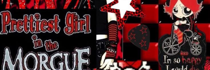 dumb pup🏳️‍⚧️'s banner